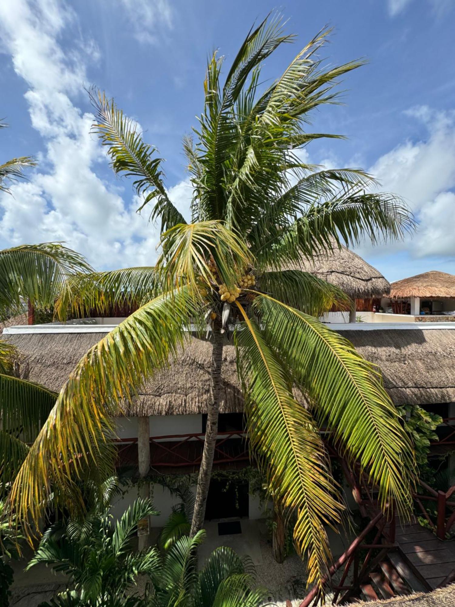 Kin Ha Tulum Hotel מראה חיצוני תמונה